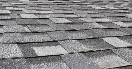 shingle roofing
